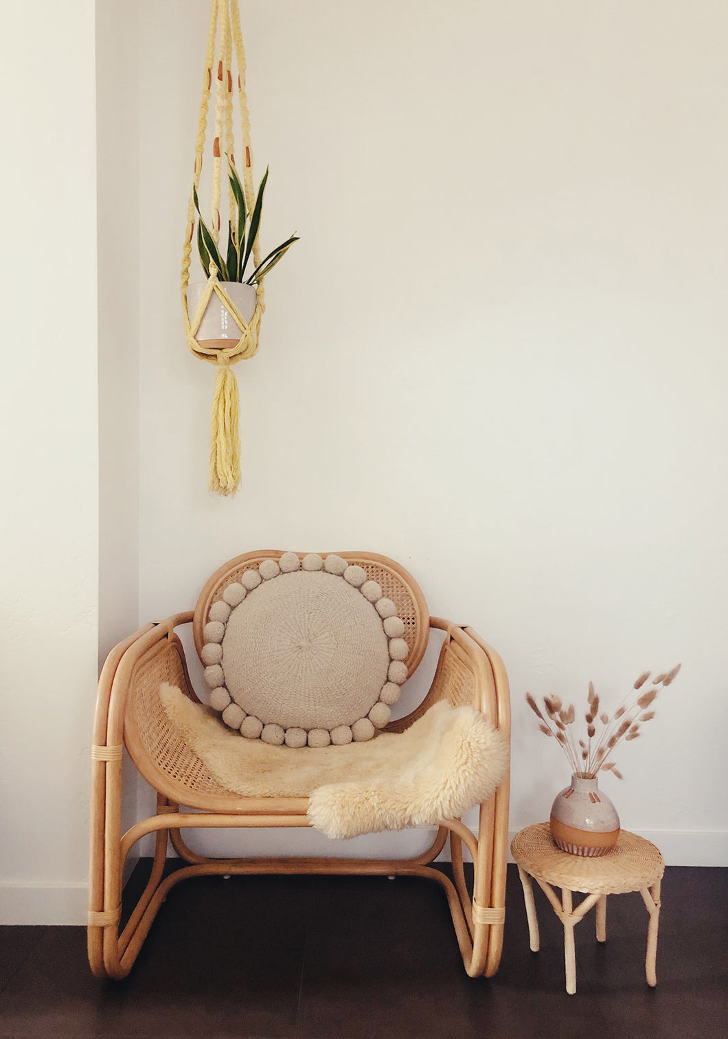 1970s Macrame Plant Hanger