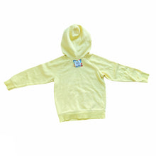 Load image into Gallery viewer, &quot;Sunny Days&quot; hooded sweatshirt
