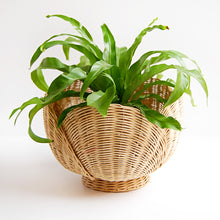 Load image into Gallery viewer, &quot;Shell of a Basket&quot; Vintage Basket
