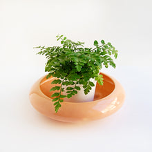 Load image into Gallery viewer, &quot;Just Peachy&quot;  Vintage Planter
