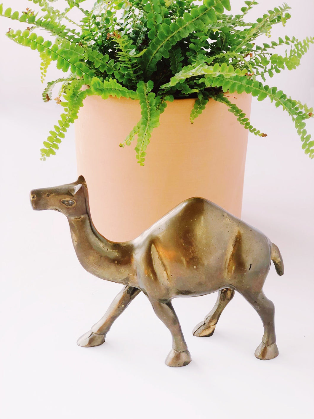 “Herbert” vintage mid century brass camel