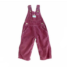 Load image into Gallery viewer, &quot;Cutecumber&quot; vintage cord overalls
