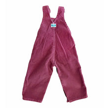 Load image into Gallery viewer, &quot;Cutecumber&quot; vintage cord overalls
