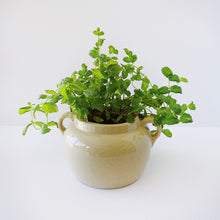 Load image into Gallery viewer, &quot;Medalta&quot; 1940&#39;s Bean Pot Crock
