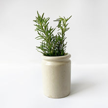Load image into Gallery viewer, 1940&#39;s Mini Crock Modern Farmhouse
