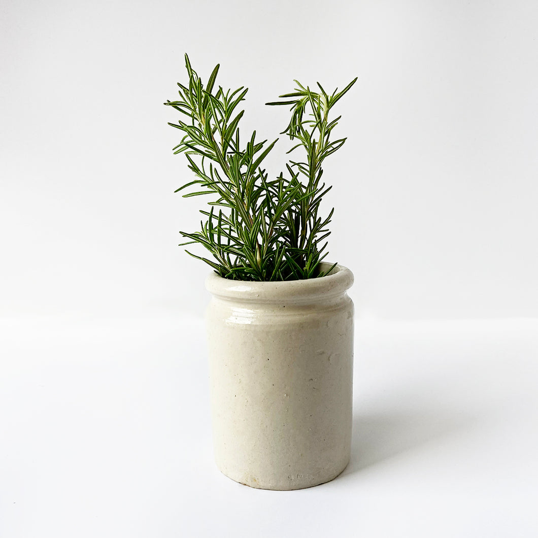 1940's Mini Crock Modern Farmhouse